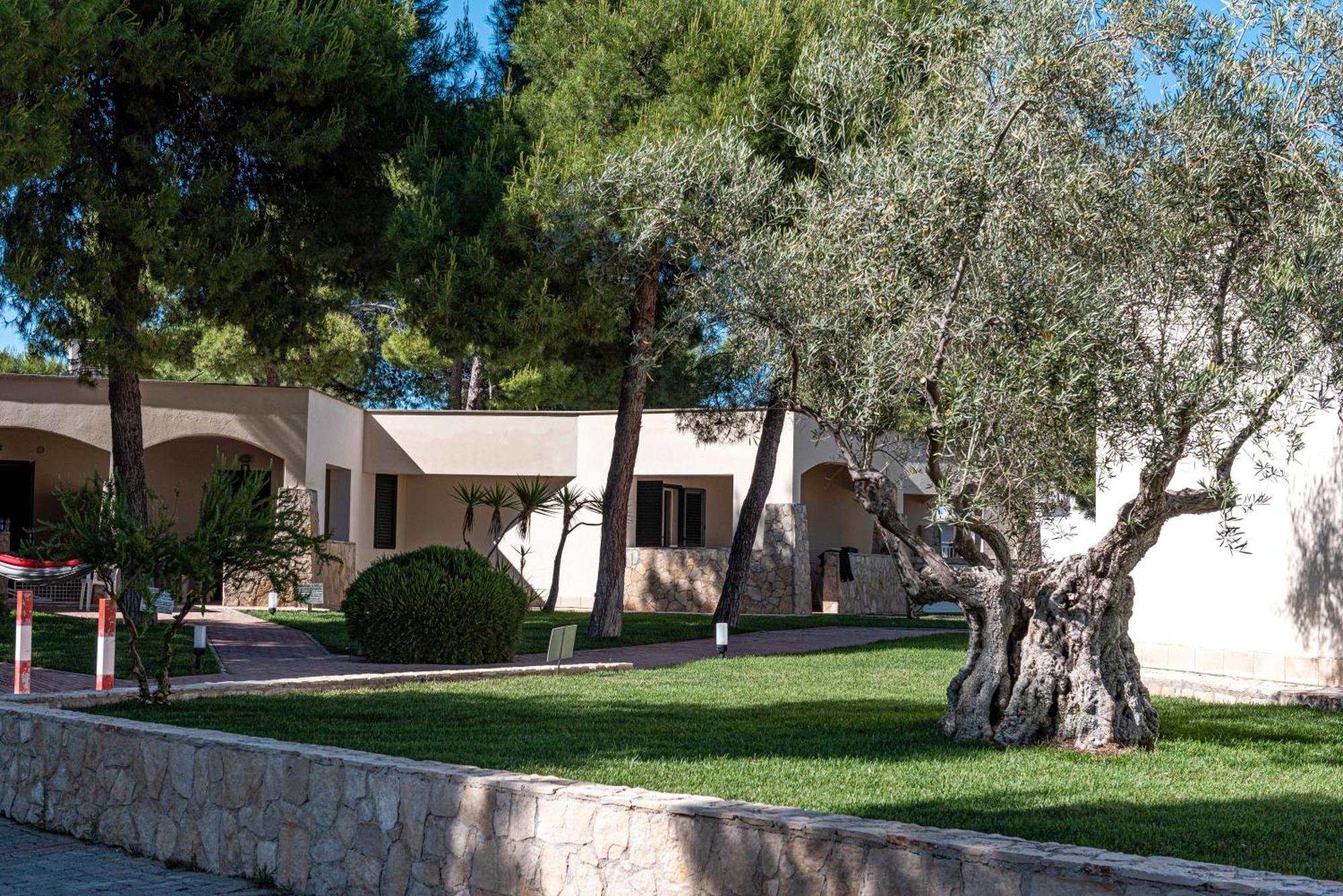 Villaggio Camping Spiaggia Lunga Vieste Luaran gambar